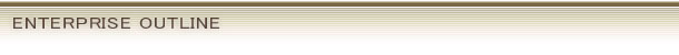 ENTERPRISE OUTLINE